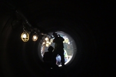 Scenario 6 Improvements